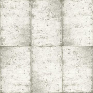 138877_530_530_2