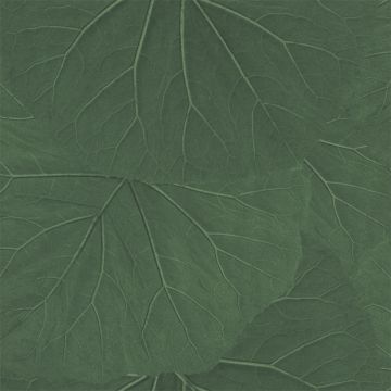 138996_3