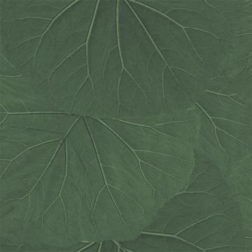 138996rt-1