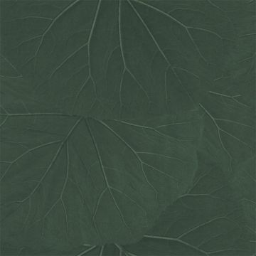 138997_3