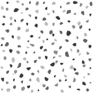 Tapete Schwarz-Weiß Rasch-Textil Vliestapete (1026297)