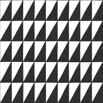 Tapete Schwarz-Weiß Rasch-Textil Vliestapete (1026332)