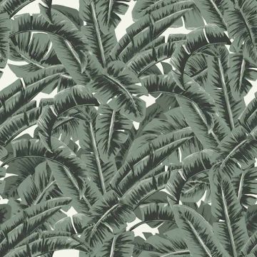 Tapete Grün Rasch-Textil Vliestapete (1034975)