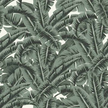 Tapete Grün Rasch-Textil Vliestapete (1034975)