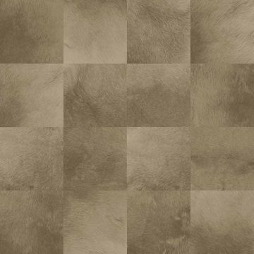 Tapete Braun Rasch-Textil Vliestapete (1034997)