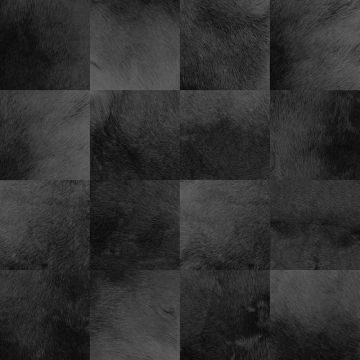 Tapete Schwarz, Anthrazit Rasch-Textil Vliestapete (1034999)