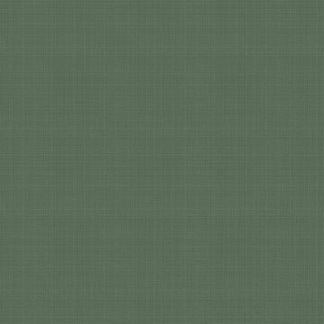 Tapete Grün Rasch-Textil Vliestapete (1040684)