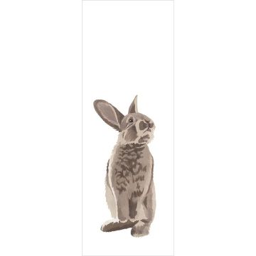 Digitaldruck-Tapete Braun Rasch-Textil (1040724)