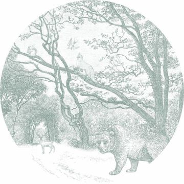 Digitaldruck-Tapete Grün Rasch-Textil (1040730)