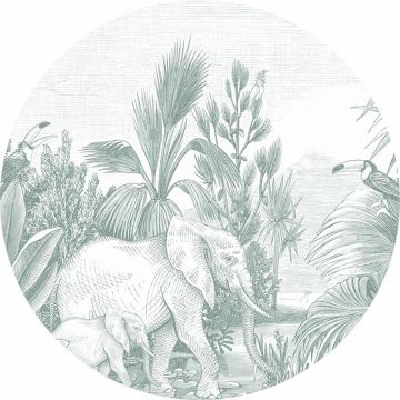 Digitaldruck-Tapete Grün, Schwarz-Weiß Rasch-Textil (1040735)