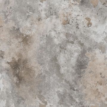 215-51-rost-image1