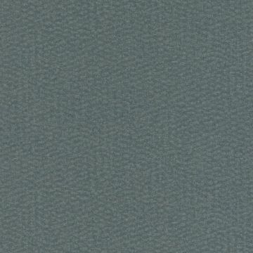 229300 Abaca Rasch-Textil