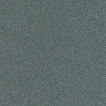 229300 Abaca Rasch-Textil