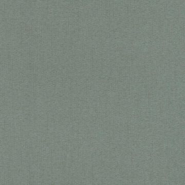 229386 Abaca Rasch-Textil