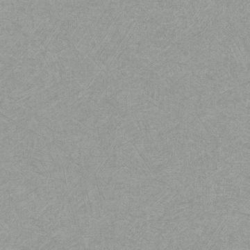 229447_2