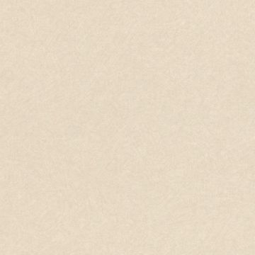 229461_2