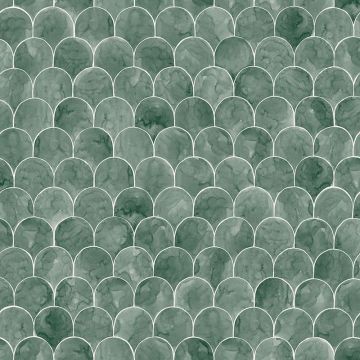241-88-igor-image1