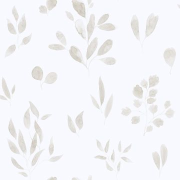 242-21-belle-image1