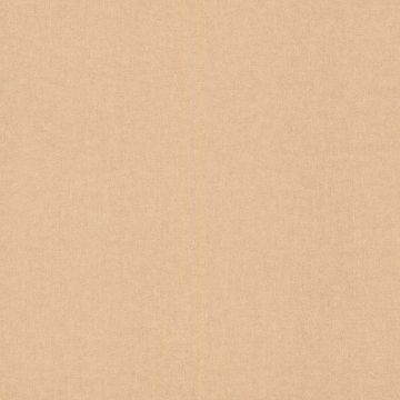 Tapete Braun Rasch Vliestapete (1040100)