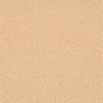 252972_8_