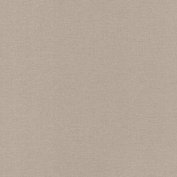 Tapete Braun Rasch-Textil Vliestapete (1040430)