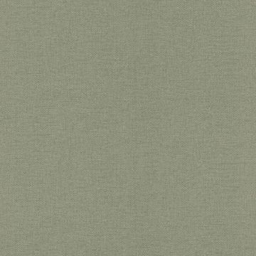 Tapete Grün Rasch-Textil Vliestapete (1040435)