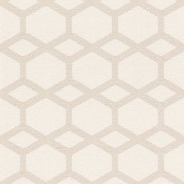 291413_530_265
