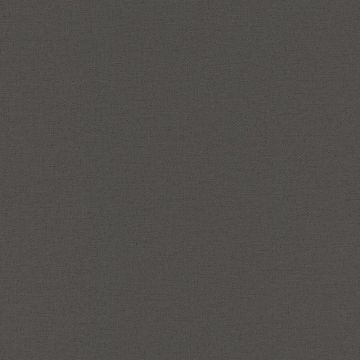 Tapete Schwarz, Anthrazit Rasch-Textil Vliestapete (1040471)