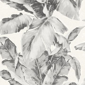 296050_3