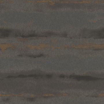296111_6