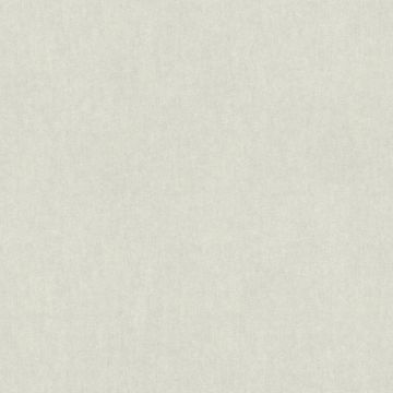 296333_3