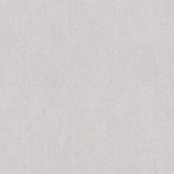 296364_1_1
