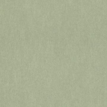 298986_1