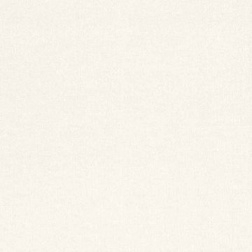 Tapete Grau, Silber Rasch-Textil Vliestapete (1035373)