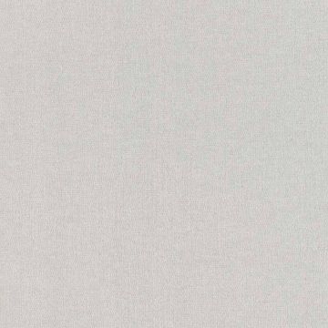 Tapete Grau, Silber Rasch-Textil Vliestapete (1035377)