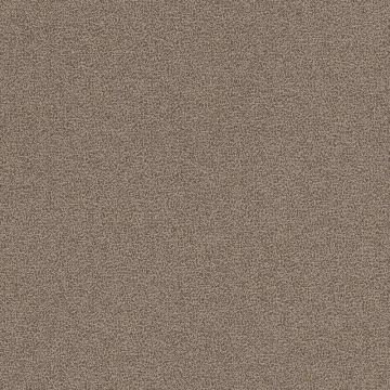 299983-1