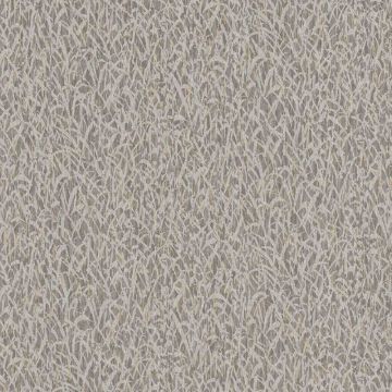 300245_640_0