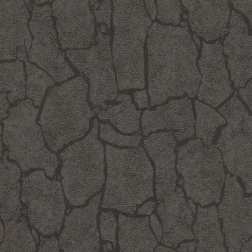 300534-1