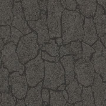 300534_1