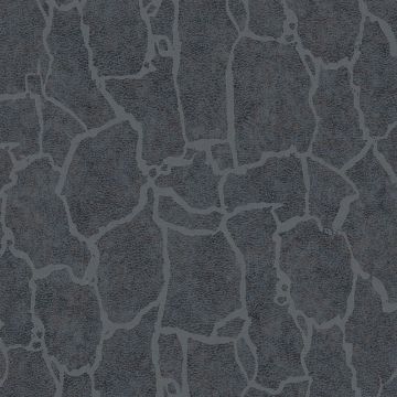 300535_1