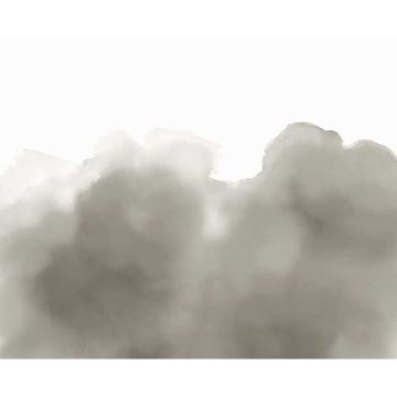 Digitaldruck-Tapete Grau, Silber Eijffinger (1034956)