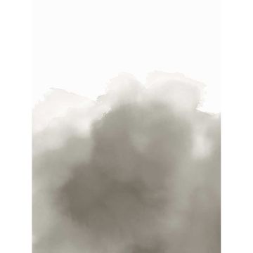 Digitaldruck-Tapete Grau, Silber Eijffinger (1034957)