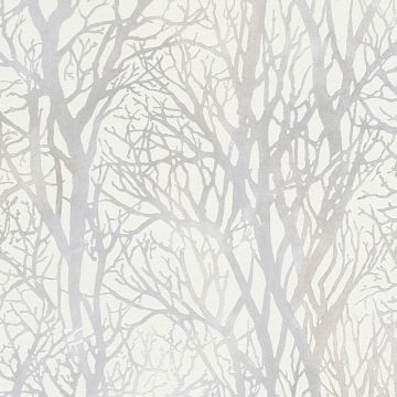300941_6_1