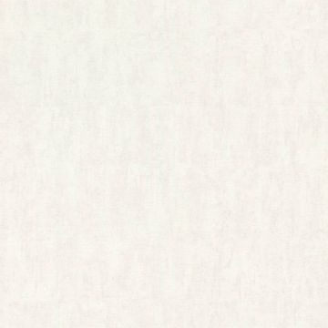 301556