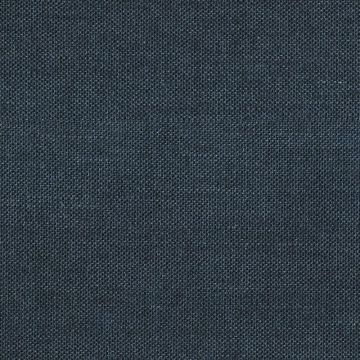 303529_1