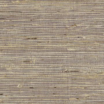 Tapete Beige, Creme Eijffinger Naturtapete (1038338)