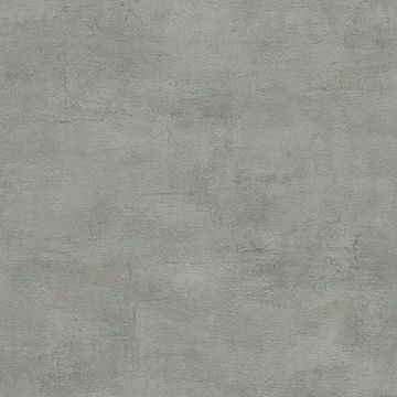 306683_5