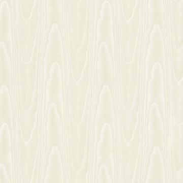 307037_5