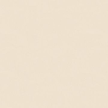 307255_3