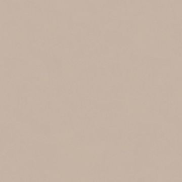 307256_3
